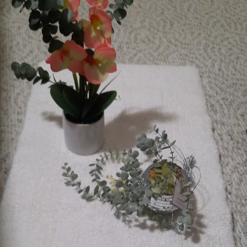 Pink and Green Floral Arrangement in White Pot